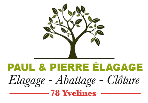 Logo-elagage-paul-pierre-elagage